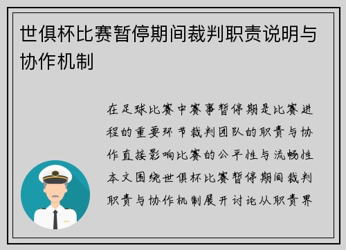 世俱杯比赛暂停期间裁判职责说明与协作机制